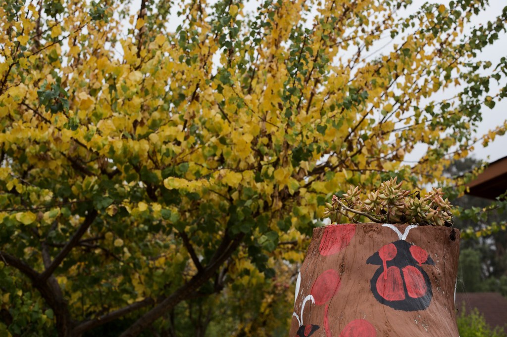 To Make a&nbsp;Garden