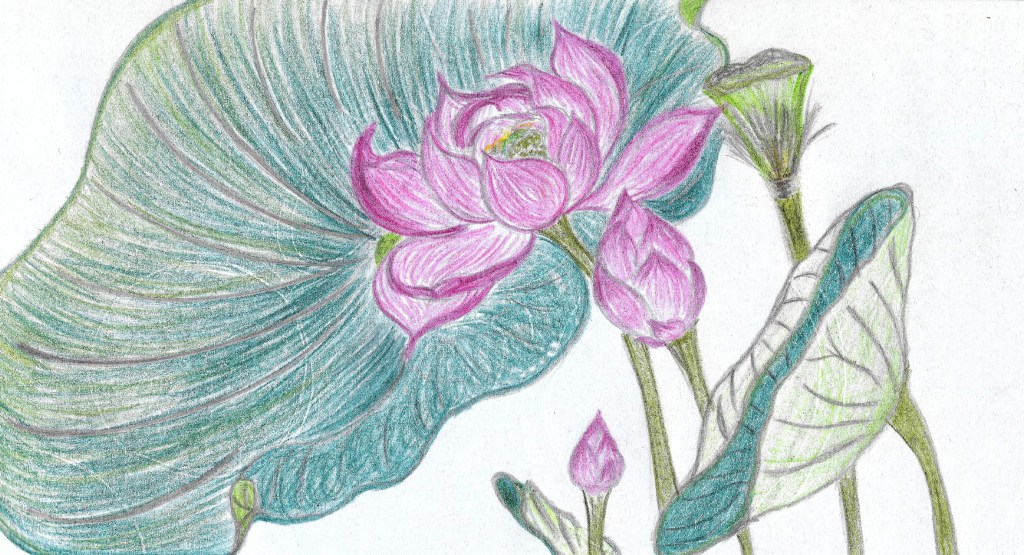 House of Ten Thousand&nbsp;Frames