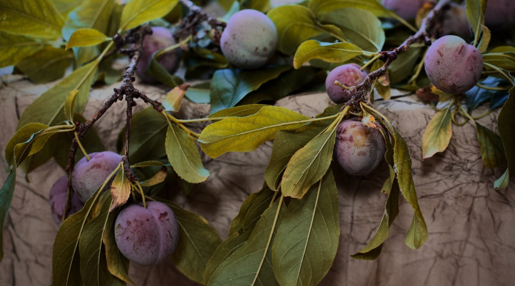 Crisp & Spoon&nbsp;Cake