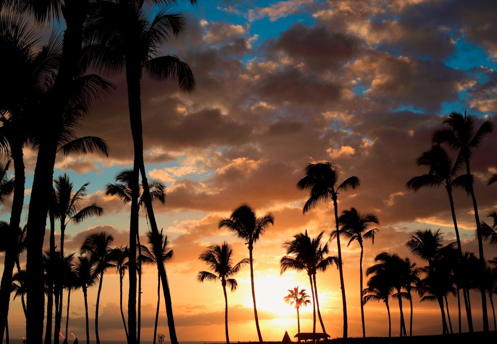 The Art of&nbsp;Poetry